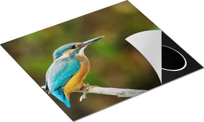 Chefcare Inductie Beschermer Blauwe IJsvogel op een Tak - 60x50 cm - Afdekplaat Inductie - Kookplaat Beschermer - Inductie Mat