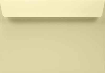 Gladde crème enveloppen A5 - 162 x 229 mm - C5 - 20 stuks - HK zelfklevend met plakstrip - 120 gram - Arena - Netuno