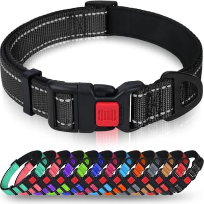 Reflecterende nylon hondenhalsband met veiligheidsgesp voor extra grote honden - Zwart