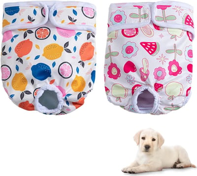 Herbruikbare hondenluiers - Super absorberende en wasbare menstruatiebroekjes voor teefjes, maat 40-50 cm, ideaal voor puppy's en incontinentie