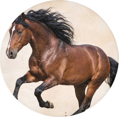 WC mat rond 70x70 cm - Antislip - Paard - Galop - Energie - Toiletmat - Vloermat - Douchemat - Toilet tapijt - Toiletmatten