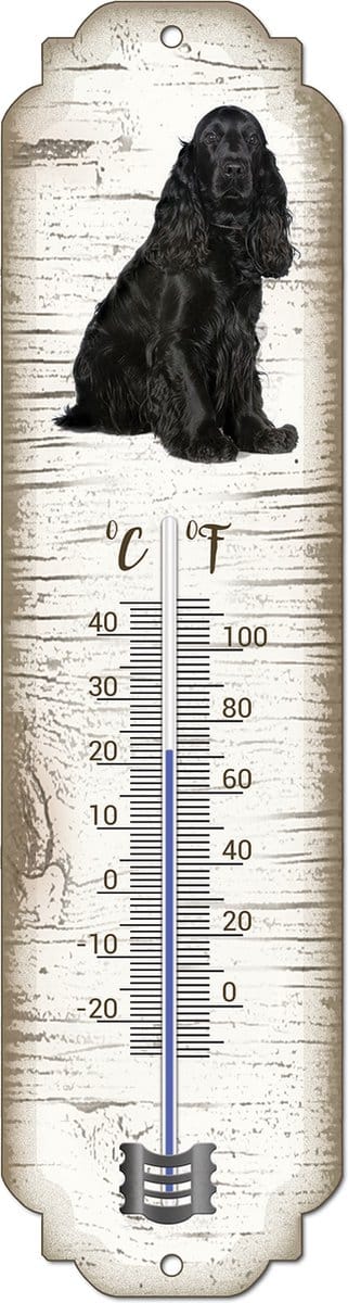 Thermometer: Engelse Cockerspaniël | Hondenras | Temperatuur binnen en buiten | -25 tot +45C