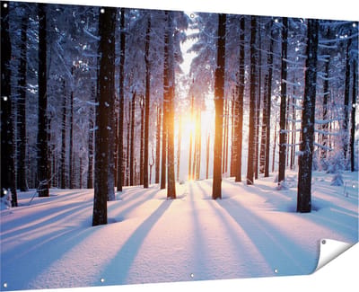 Gards Tuinposter Bos met Sneeuw tijdens de Zonsondergang - 180x120 cm - Tuindoek - Tuindecoratie - Wanddecoratie buiten - Tuinschilderij