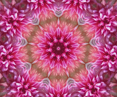 MyHobby Borduurpakket – Bloem mandala 60×50 cm - Aida borduurstof 5,5 kruisjes/cm (14 count) - Telpatroon - Borduurgaren - Borduurnaald - Handleiding - Voor Beginners & Gevorderden - Complete borduurset