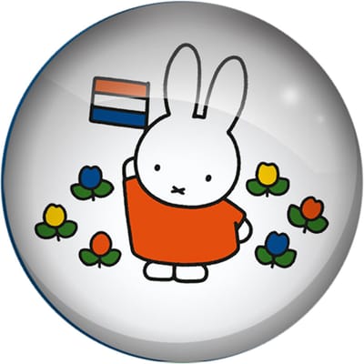 Koelkastmagneet - Glasmagneet Nijntje - Rond Wit Tulpen Rood&Geel&Blauw - 3cm