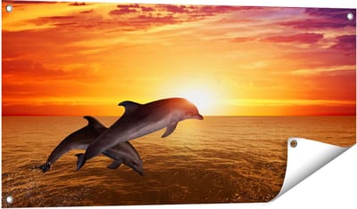 Gards Tuinposter Twee Dolfijnen bij de Zonsondergang - 100x50 cm - Tuindoek - Tuindecoratie - Wanddecoratie buiten - Tuinschilderij