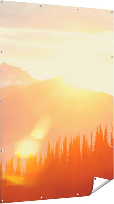 Gards Tuinposter Zonsondergang in het Bos - 120x180 cm - Tuindoek - Tuindecoratie - Wanddecoratie buiten - Tuinschilderij