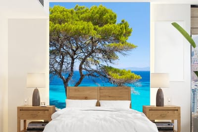 Behang - Fotobehang Boom - Zee - Tropisch - Zomer - Breedte 165 cm x hoogte 220 cm