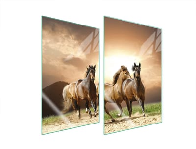 TMK ArtDeko - Serie 2x35 - Glazen Beschermplaat - Paardenmotief - 35x52 cm