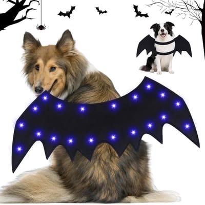 Dailygoods- Vleermuisvleugels LED - Hondenkostuum - Halloween Decoratie - Cosplay - 19x48 cm - Hoogwaardig Vilt - Huisdierkostuum