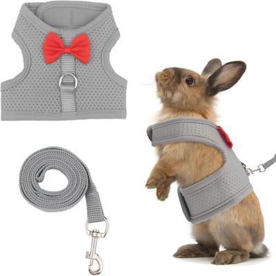 Verstelbaar netvest voor kleine dieren - Grijs, schattig vest voor wandelen - Geschikt voor hazen, fretten en eekhoorns - Voor dieren van 2,5 tot 4,5 kg - Comfortabel en veilig.