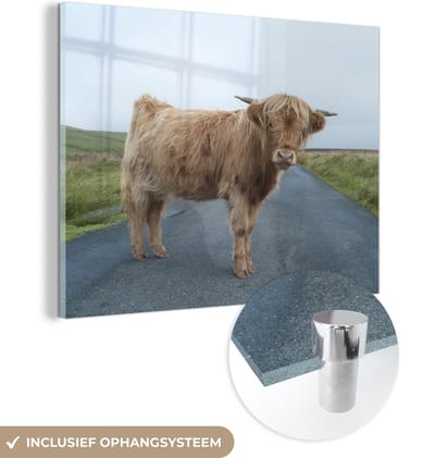 MuchoWow® Glasschilderij 160x120 cm - Schilderij acrylglas - Schotse Hooglander - Weg - Gras - Foto op glas - Schilderijen