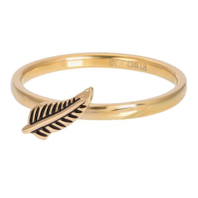 iXXXi Vulring Symbol Feather Goud | Maat 17 (gewone ringmaat 19)