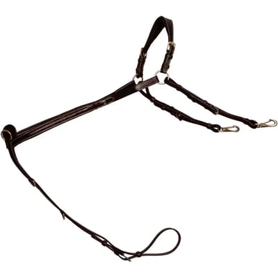 Jachthalsband voor brugpaard Dy'on