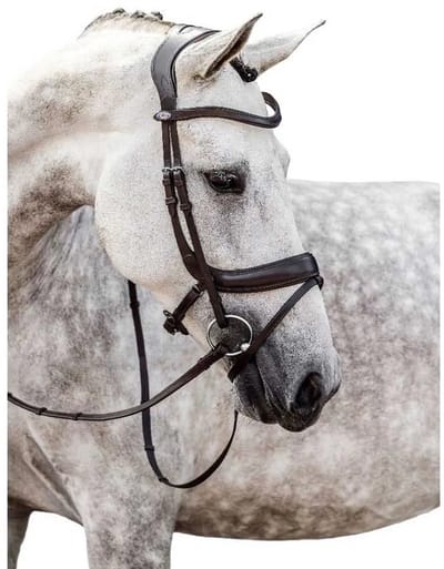 Ps Of Sweden Paladin Hoofdstellen Zwart Cob