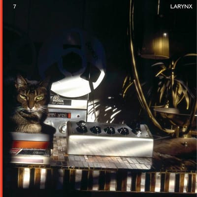 Lary 7 - Larynx (2 LP)