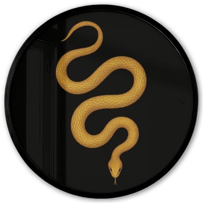 Poster in lijst Rond - Fotolijst 40x40 cm - Posters - Slang - Minimalistisch - Goud - Ronde posterlijst zwart - Decoratie - Wanddecoratie woonkamer - Muurdecoratie slaapkamer