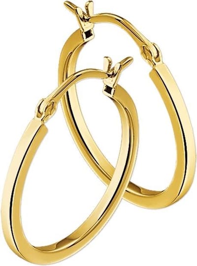 The Jewelry Collection Oorringen Vierkante Buis - Geelgoud