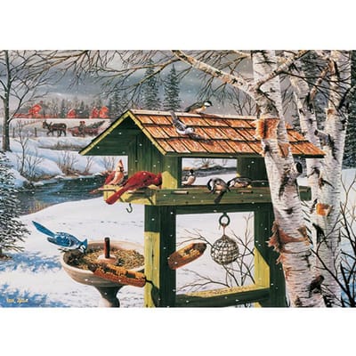 5D DIY Diamond schilderij vogels in de sneeuw borduurwerk mozaïek kruissteek strass decor 20X30CM gray