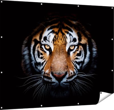 Gards Tuinposter Tijger op Zwart Achtergrond - 150x120 cm - Tuindoek - Tuindecoratie - Wanddecoratie buiten - Tuinschilderij