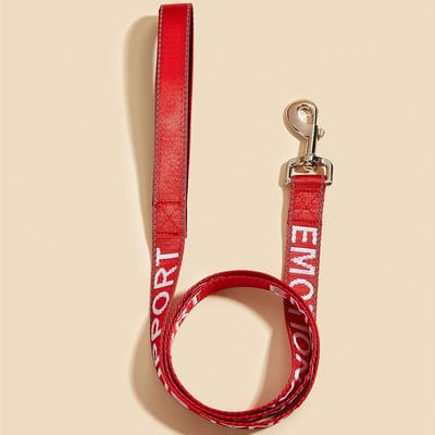 Laisse pour chien d'assistance 2,5*120cm avec poignée en néoprène, Support animal, Lettre brodée, Laisse réfléchissante pour chien (as the picture,4ft)