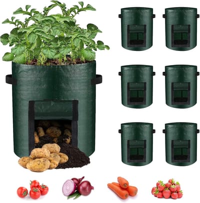 6-pack kweekzakken, 10 gallon kweekzakken, groentekweekzakken met scharnierend venster en handvat Geschikt voor aardappelen, uien, tomaten, wortelen (groen)