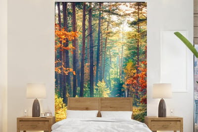 Behang - Fotobehang Bos - Zon - Natuur - Herfst - Breedte 200 cm x hoogte 300 cm