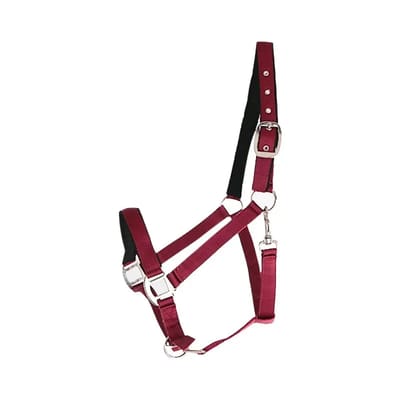 Nylon gevoerd paardenhalster Canter