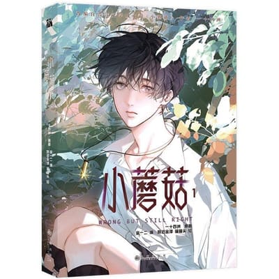 Kleine Paddenstoel Fout Maar Toch Goed Origineel Stripboek Deel 1 Lu Feng x An Zhe Chinese Sciencefiction BL Manga Boek 1Pc Book gray