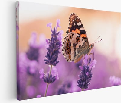 Saammp Muurcirkel Hout - Abstracte bloemen in vaas - kleurrijk - Natuur - Ø 90 - Wandcirkel - Wanddecoratie Cirkel - Muurdecoratie Woonkamer - Kantoor Decoratie