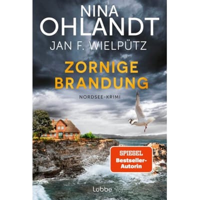 Zornige Brandung - Nina Ohlandt