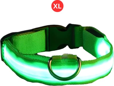 Livano Hondenhalsband Led - Lichtgevend - Verlichte Halsband - Lichtgevende Halsband - Hond - Kat - Lampje - Oplaadbaar - Groen XL