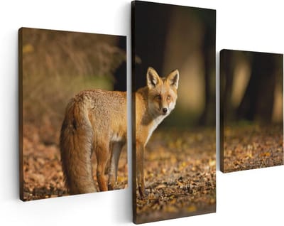 Artaza Canvas Schilderij Drieluik Vos in het Herfstbos - 90x60 - Foto Op Canvas - Canvas Print