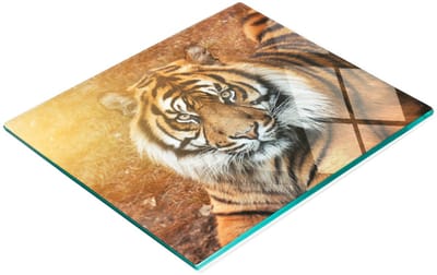 Decoratieve glazen snij- en serveerplank met Bengaalse tijgermotief, 60x52 cm