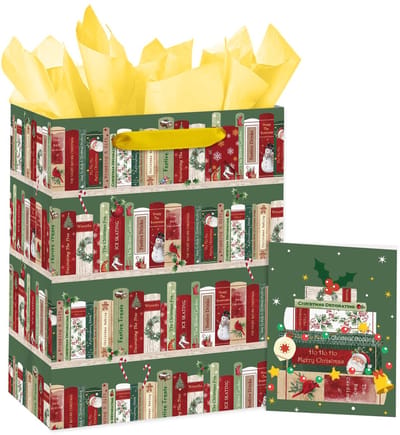 Dailygoods- Cadeauzakje middelgroot - Boekenkastontwerp - Kerstcadeauzakje - Geschenkzakje - Herbruikbaar karton - Perfect formaat 25,4 x 12,7 x 33 cm - Geschenkzak