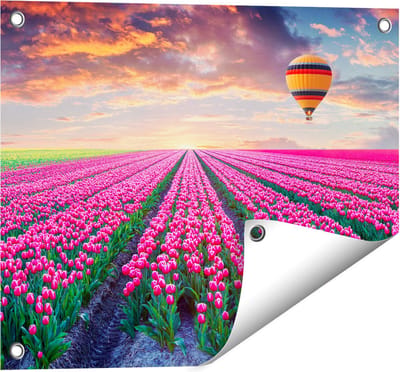 Gards Tuinposter Bloemenveld met Roze Tulpen - Luchtballon - 50x40 cm - Tuindoek - Tuindecoratie - Wanddecoratie buiten - Tuinschilderij
