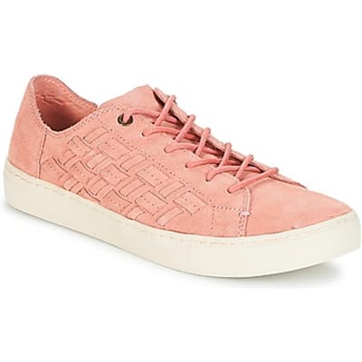 Lage Sneakers Toms LENOX
