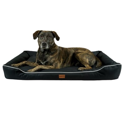 Dastium Pets - XXL Zwarte Hondenmand - Water en Vuil afstotend Hondenbed - Hondenkussen Van Oxfordstof - Met Anti-slip Bodem - 105CM X 70CM