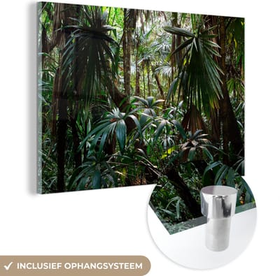 MuchoWow® Glasschilderij 60x40 cm - Schilderij acrylglas - Planten in regenwoud - Foto op glas - Schilderijen