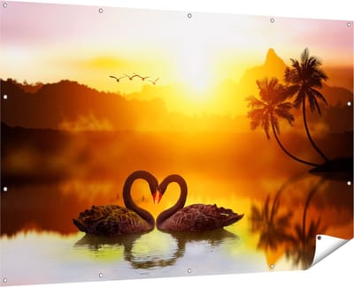 Gards Tuinposter Twee Zwarte Zwanen in een Hart Vorm - 180x120 cm - Tuindoek - Tuindecoratie - Wanddecoratie buiten - Tuinschilderij