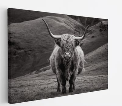 Saammp Canvas Schilderij - Schotse Hooglander Koe tussen de rode planten - Landschap - Dieren - Natuur - 60x40 - Foto op canvas - Wanddecoratie - muurdecoratie Woonkamer - Slaapkamer decoratie - Canvas Print