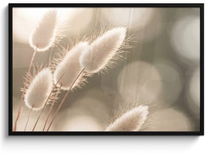Poster in lijst - Fotolijst 120x80 cm - Posters - Hazestaartgras - Wit - Zonlicht - Posterlijst zwart - Decoratie - Wanddecoratie woonkamer - Muurdecoratie slaapkamer