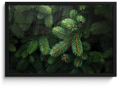 Poster in lijst - Fotolijst 60x40 cm - Posters - Sparrentakken - Knoppen - Naalden - Groen - Posterlijst zwart - Decoratie - Wanddecoratie woonkamer - Muurdecoratie slaapkamer