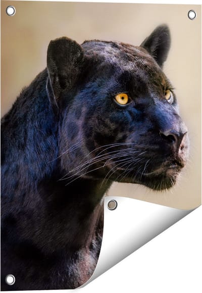 Gards Tuinposter Zwarte Panter met Oranje Ogen - 40x50 cm - Tuindoek - Tuindecoratie - Wanddecoratie buiten - Tuinschilderij