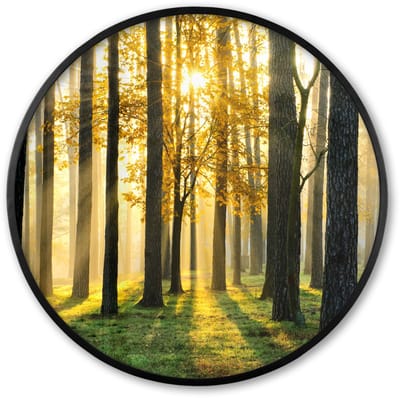 Poster in lijst Rond - Fotolijst 60x60 cm - Posters - Bos - Zon - Bomen - Gras - Landschap - Natuur - Ronde posterlijst zwart - Decoratie - Wanddecoratie woonkamer - Muurdecoratie slaapkamer