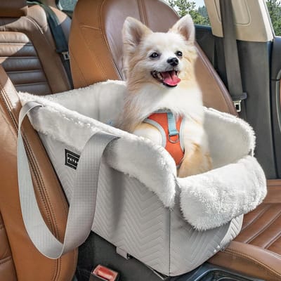 Hondenautostoel voor kleine honden met veiligheidsgordels en comfortabel kussen