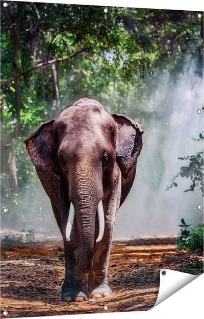 Gards Tuinposter Olifant in het Bos - 90x120 cm - Tuindoek - Tuindecoratie - Wanddecoratie buiten - Tuinschilderij