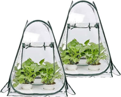 Mini Broeikas Hoes - Plantenkast Kweekkas - Planten Beschermen - Pop-up Ontwerp - 69x69x79 cm - Groen