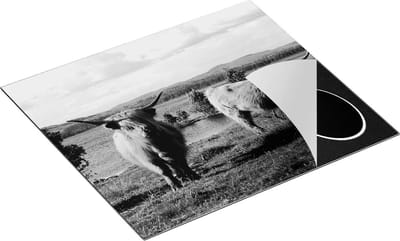 Chefcare Inductie Beschermer Twee Schotse Hooglanders bij het Water - Zwart Wit - 60x50 cm - Afdekplaat Inductie - Kookplaat Beschermer - Inductie Mat