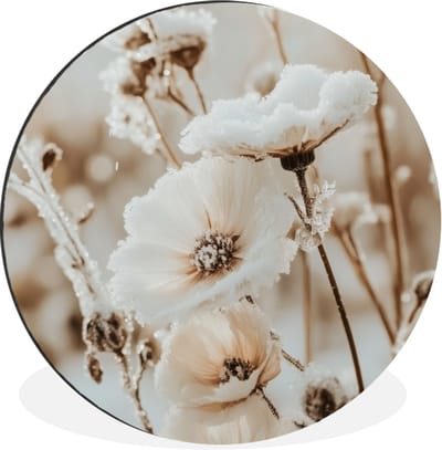 WallCircle - Wandcirkel - Muurcirkel - Bloemen - Winter - Wit - Sneeuw - Beige - Aluminium - Dibond - 60x60 cm - Binnen en Buiten